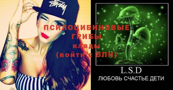 гидра Майский