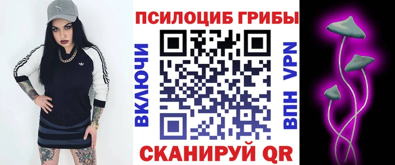 даркнет формула Михайлов Галлюциногенные грибы мицелий купить наркотики цена